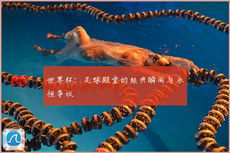 世界杯：足球殿堂的经典瞬间与永恒争议