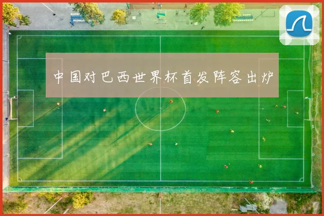 中国对巴西世界杯首发阵容出炉