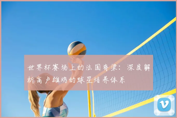 世界杯赛场上的法国脊梁：深度解析高卢雄鸡的球星培养体系