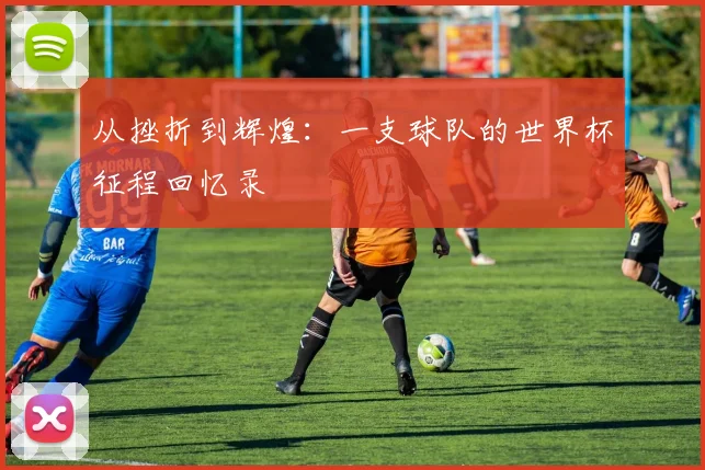 从挫折到辉煌：一支球队的世界杯征程回忆录