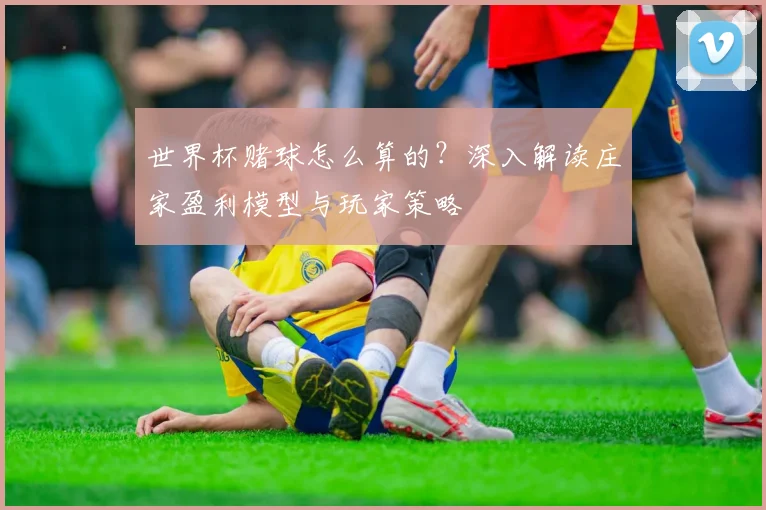 世界杯赌球怎么算的?深入解读庄家盈利模型与玩家策略