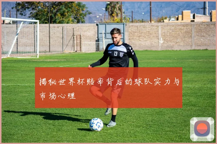 揭秘世界杯赔率背后的球队实力与市场心理