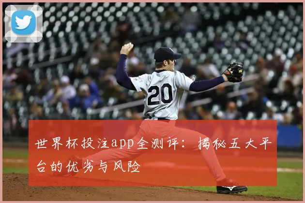 世界杯投注app全测评：揭秘五大平台的优劣与风险