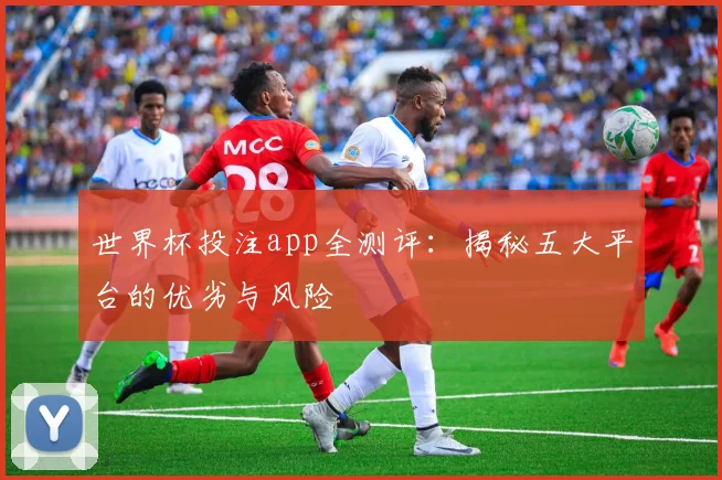 世界杯投注app全测评：揭秘五大平台的优劣与风险
