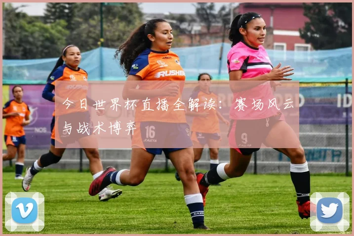 今日世界杯直播全解读：赛场风云与战术博弈