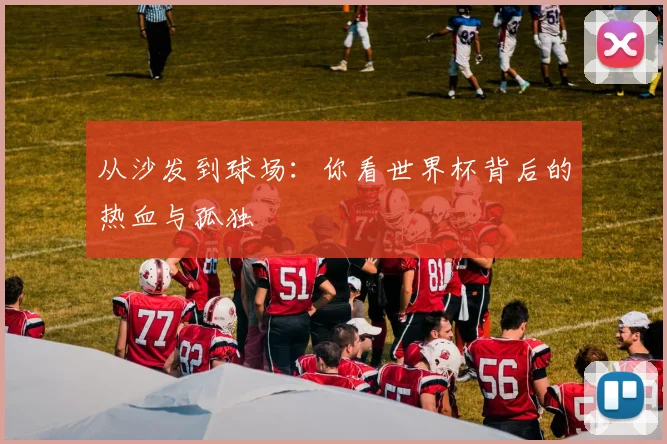 从沙发到球场：你看世界杯背后的热血与孤独