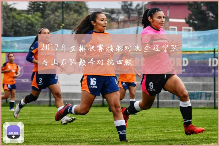 2017年女排联赛精彩对决全辽宁队与山东队巅峰对抗回顾