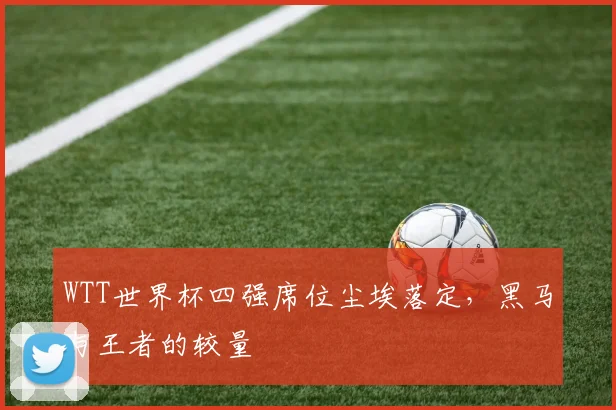 WTT世界杯四强席位尘埃落定，黑马与王者的较量