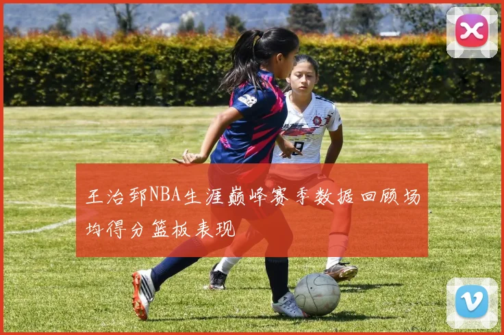 王治郅NBA生涯巅峰赛季数据回顾场均得分篮板表现