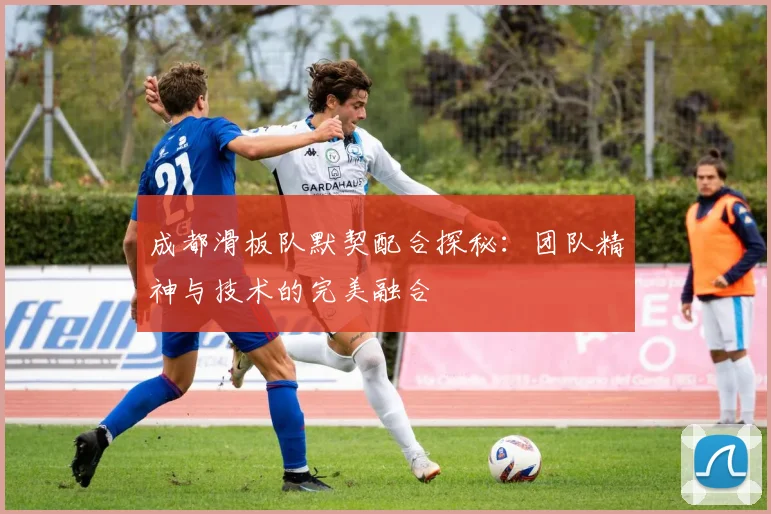 成都滑板队默契配合探秘：团队精神与技术的完美融合