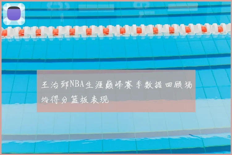 王治郅NBA生涯巅峰赛季数据回顾场均得分篮板表现